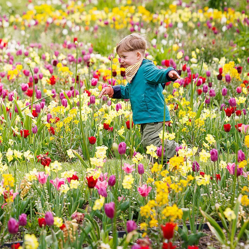 вихідні в Польщі в 2026 році